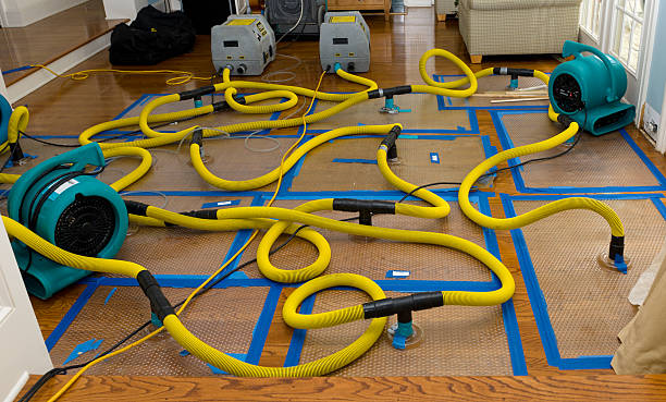 Professional Burst Pipe Water Damage technician working in Grandin, ND